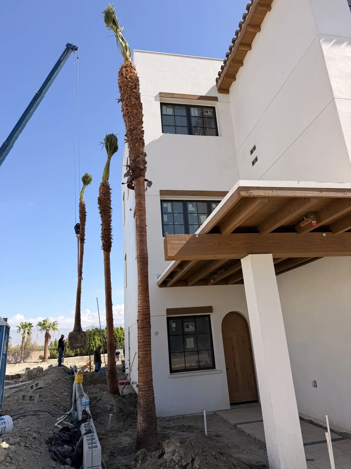 Tall palms being positioned beside a building at the Thermal Racetrack project